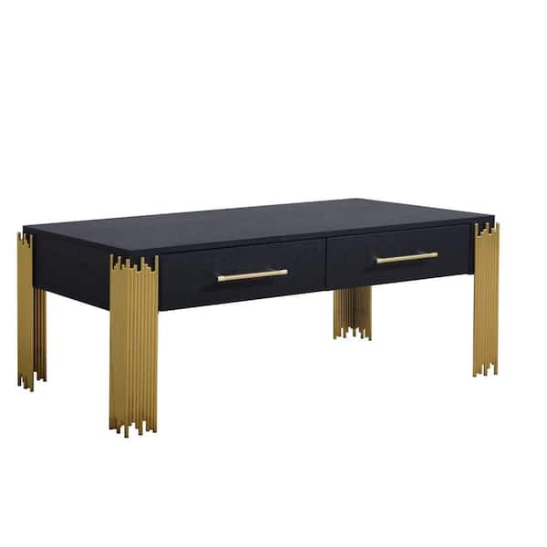 Theo 24.61 in. Black and Gold Rectangle Wood Coffee Table with Includes Storage Space