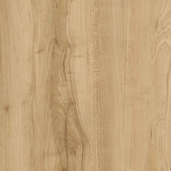 Verge Take Home Sample - Acacia Glue Down Vinyl Flooring - 4 in. x 4 in.