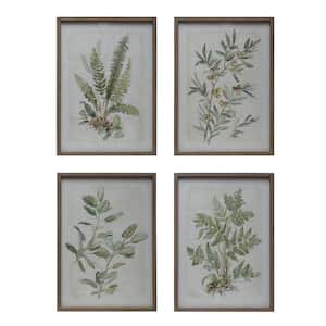 4 Piece Wood and Glass Framed Botanical Art Print 27.5 in. x 19.63 in .