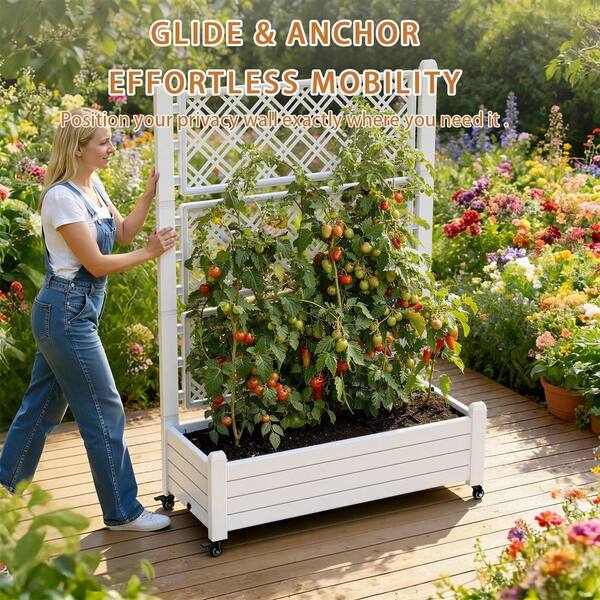 DRAW A LINE Moving Planter Rack Set ホワイト DRAW A LINE Moving Planter Rack Set ホワイト Amazon.com: lumizone