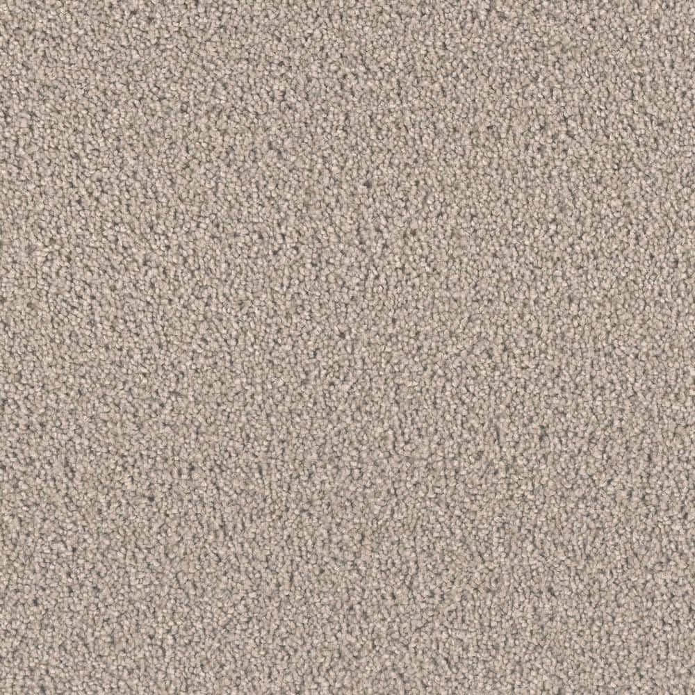 8 in. x  8 in. Texture Carpet Sample - Delicate Flower -Color Pure price history on PriceWatchPro