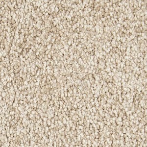 Hainsridge - Pie Crust - Beige 68 oz. Triexta Texture Installed Carpet