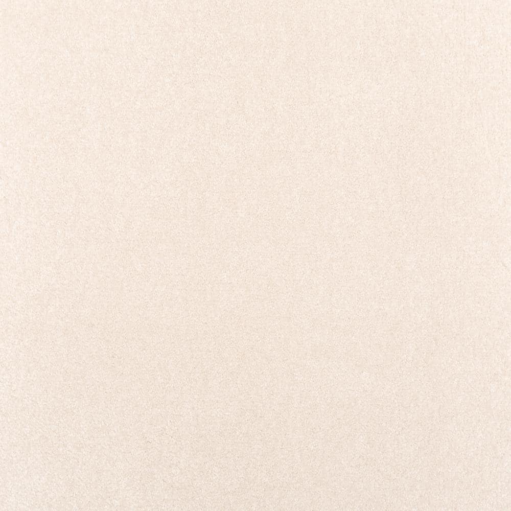 8 in. x 8 in. Texture Carpet Sample - Waking Up II - Color Soft price history on PriceWatchPro