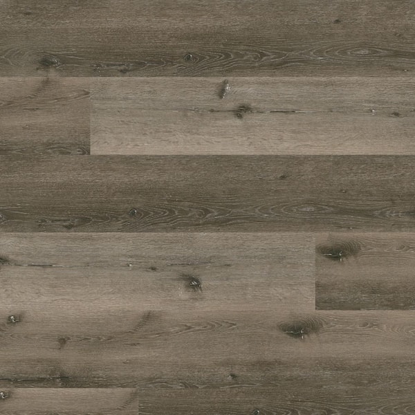 MSI Take Home Sample-Grey Wolfe American Ash 9 in. W x 9 in. L Click Lock Waterproof Luxury Vinyl Plank Flooring