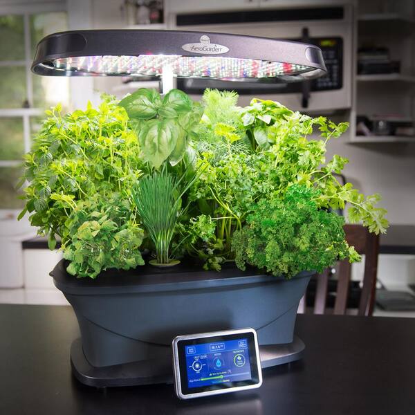 Aerogarden 9 Pod Gourmet Herb Seed Kit 809500 0208 The Home Depot