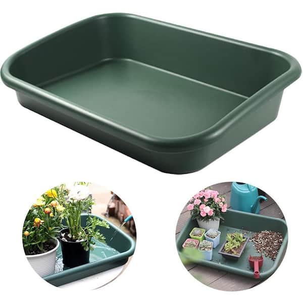 Reusable Seed Starter Tray Kit with LED Grow Lights, 12 Cells per Tray, Humidity Dome, Hydroponic Propagation