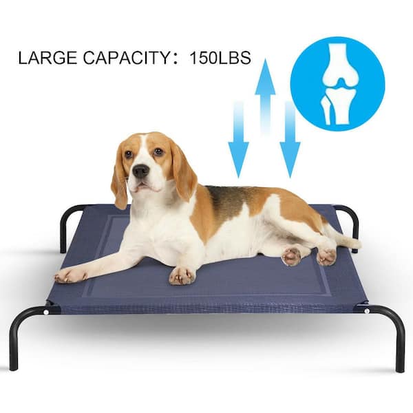 Large Dark gray Indoor Outdoor Camping Steel Frame Elevated Pet Cot Mat Lounge Bed