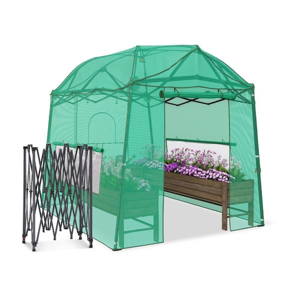 7 ft. W x 8.5 ft. D Portable Greenhouse for Outdoors, Green