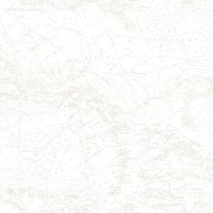 Canaveral Beige Charts Beige Wallpaper Sample