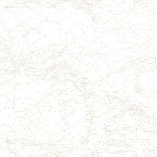 Chesapeake Canaveral Beige Charts Beige Wallpaper Sample