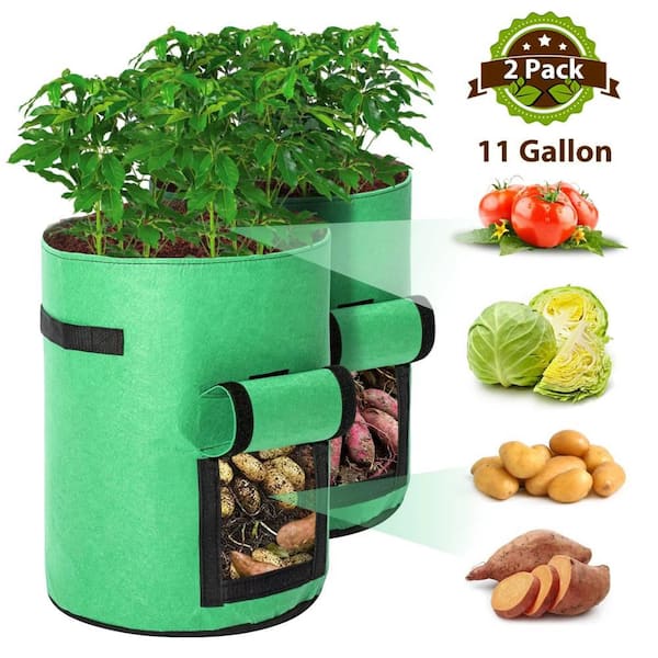 Cubilan 10 Gal. Green Planter Potato Grow Bag, Heavy-Duty Breathable Cloth  with Handles for Potatoes and More (2-Pieces) 851522753 - The Home Depot