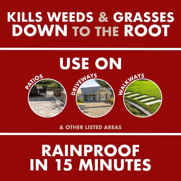 17 oz. Weed and Grass Foaming Edger Aerosol