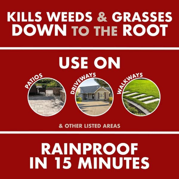 17 oz. Weed and Grass Foaming Edger Aerosol (4-Pack)