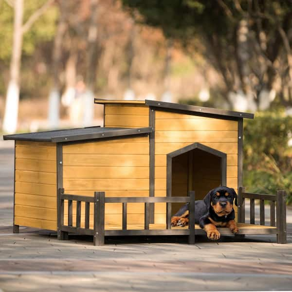 Enclosed dog outlet box