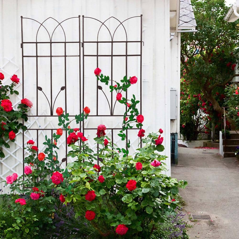 71 in. H 4-Pack Brown Metal Garden Trellis Rustproof Trellis for Climbing P