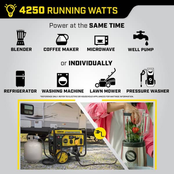 Champion Power Equipment 5300/4250-Watt Recoil Start Gasoline and Propane  Dual Fuel Powered Portable Generator with CO Shield 201279 - The Home Depot