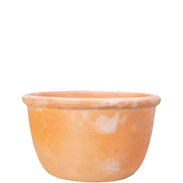 Unbranded 16 in. Terracotta Egg Planter with Lip