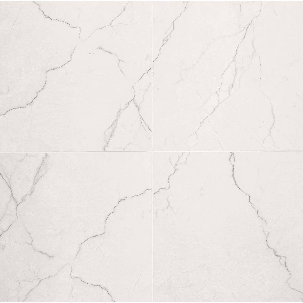 Briella Grey 24 in. x 24 in. Polished Porcelain Marble Look Floor and Wall Tile (16 sq. ft./ Case) price history on PriceWatchPro