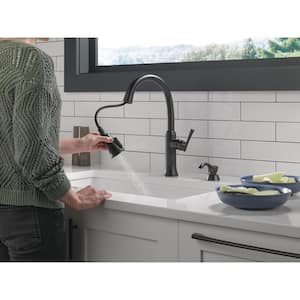 Eldridge Single Handle Pull Down Sprayer Kitchen Faucet with ShieldSpray in Matte Black