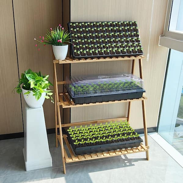 Phewnyzo Deep 72 Cell Seedling Trays Thick Durable Plug Tray for