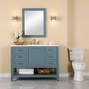 Home Decorators Collection Radien 48 in. W x 19 in. D x 34 in. H Double  Sink Bath Vanity in Admiral Blue with White Cultured Marble Top RN48P2-AE -  The Home Depot