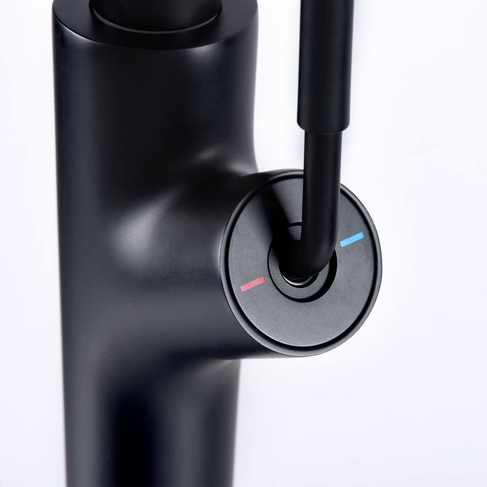 Matte Black Single Handle High Arc Kitchen Faucet with Pull-out Spray