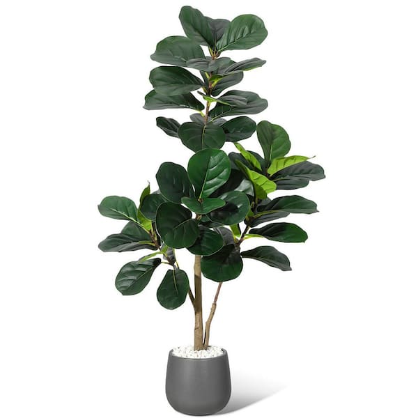big peace lily plant Tranquil Moments Peace Lily Plant – white flower arrangement | Big Lake, MN main image 0