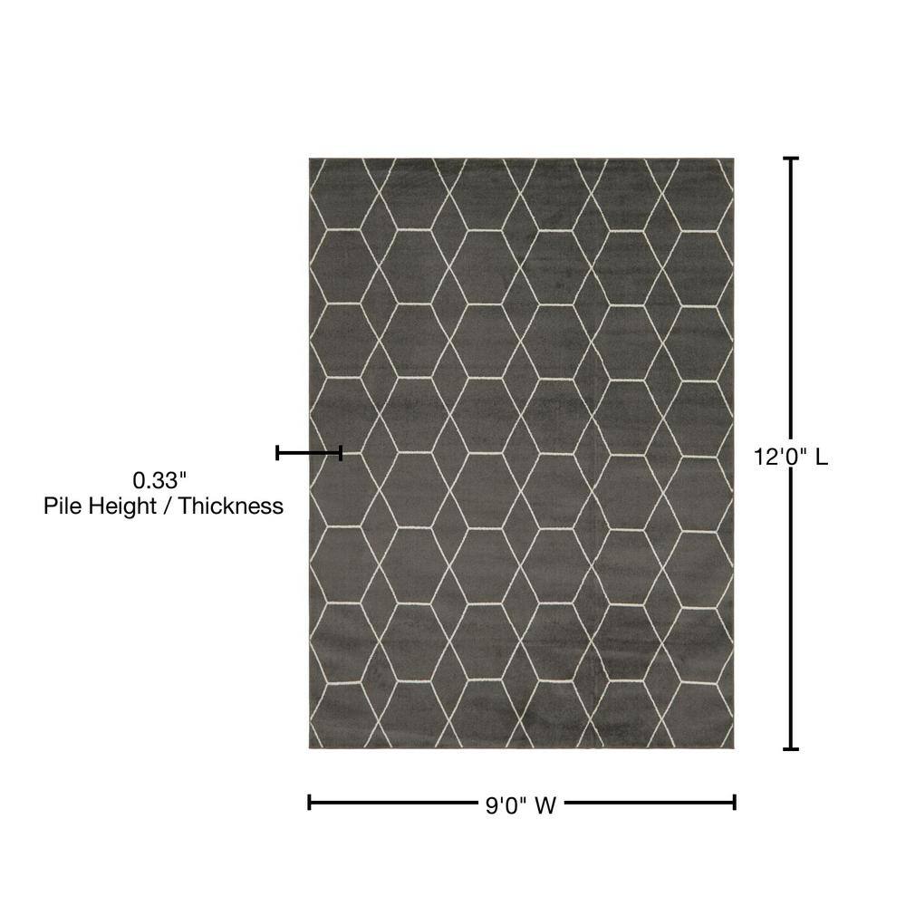 Elegant Dark Gray 9' x 12' Trellis Synthetic Area Rug