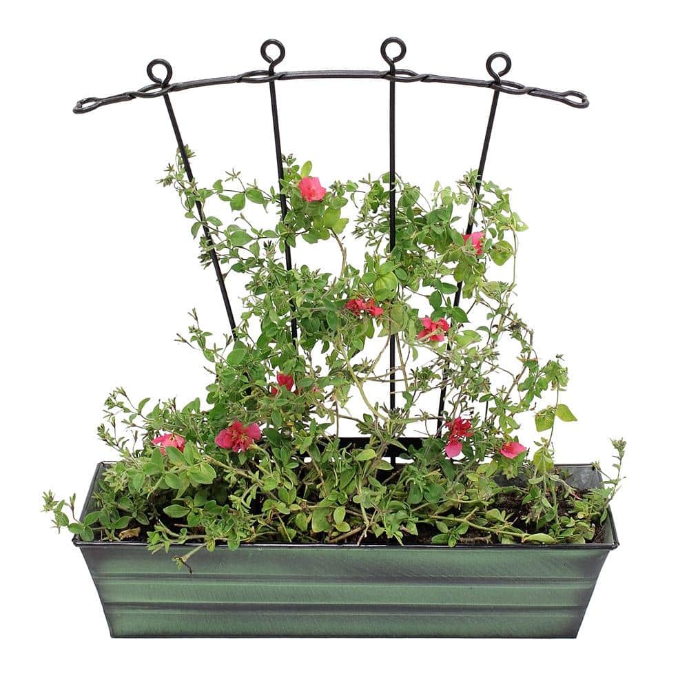 Small Green Galvanized Steel Rectangular Planter Box