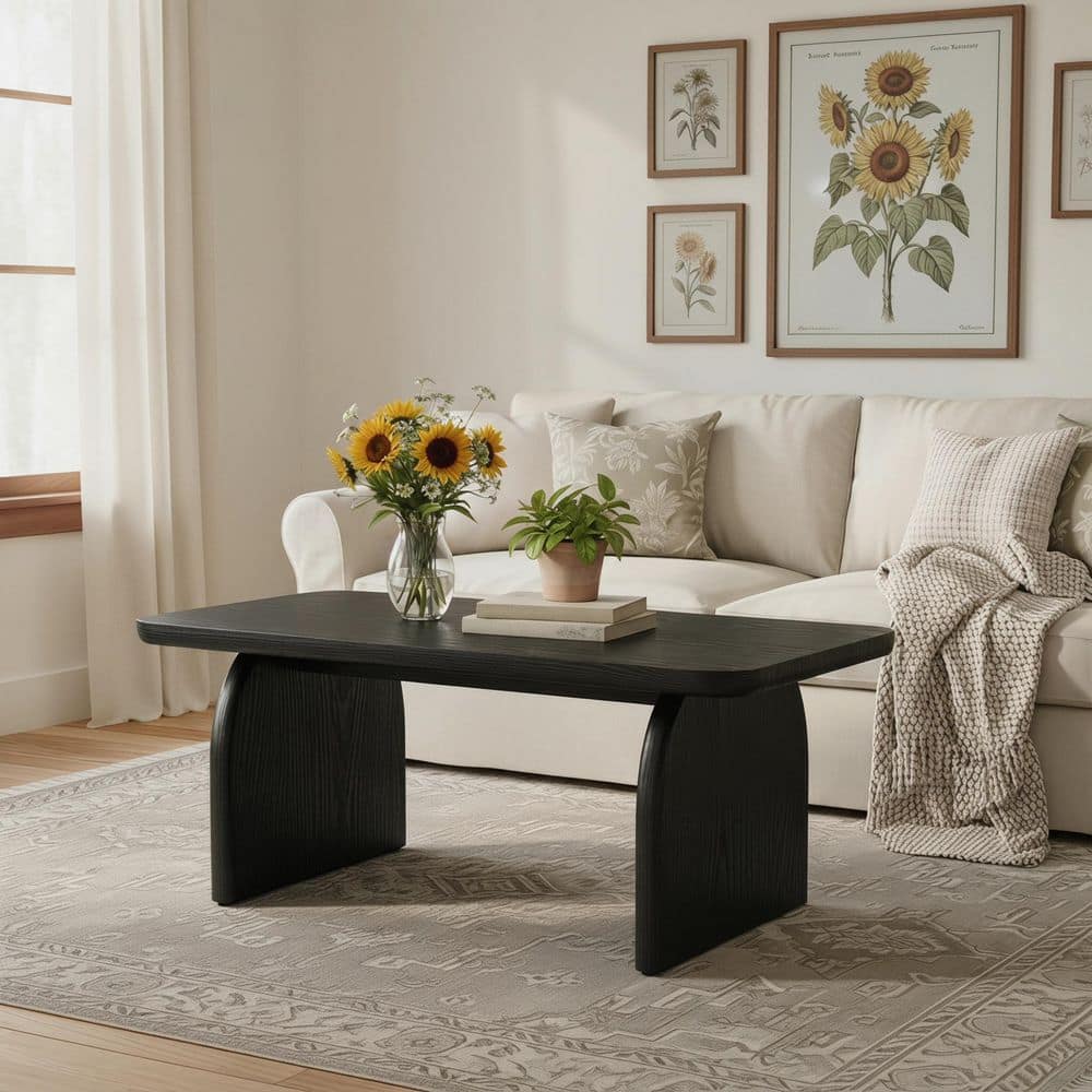 Allan 47.24 in. Rustic Black Rectangle Wood Coffee Table with Rounded Corners and Sturdy Base, Easy Assembly price history on PriceWatchPro