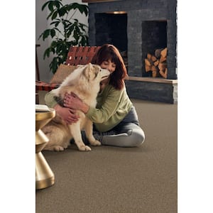 Pioneer - Longhorn - Brown 73.5 oz. SD Polyester Texture Installed Carpet