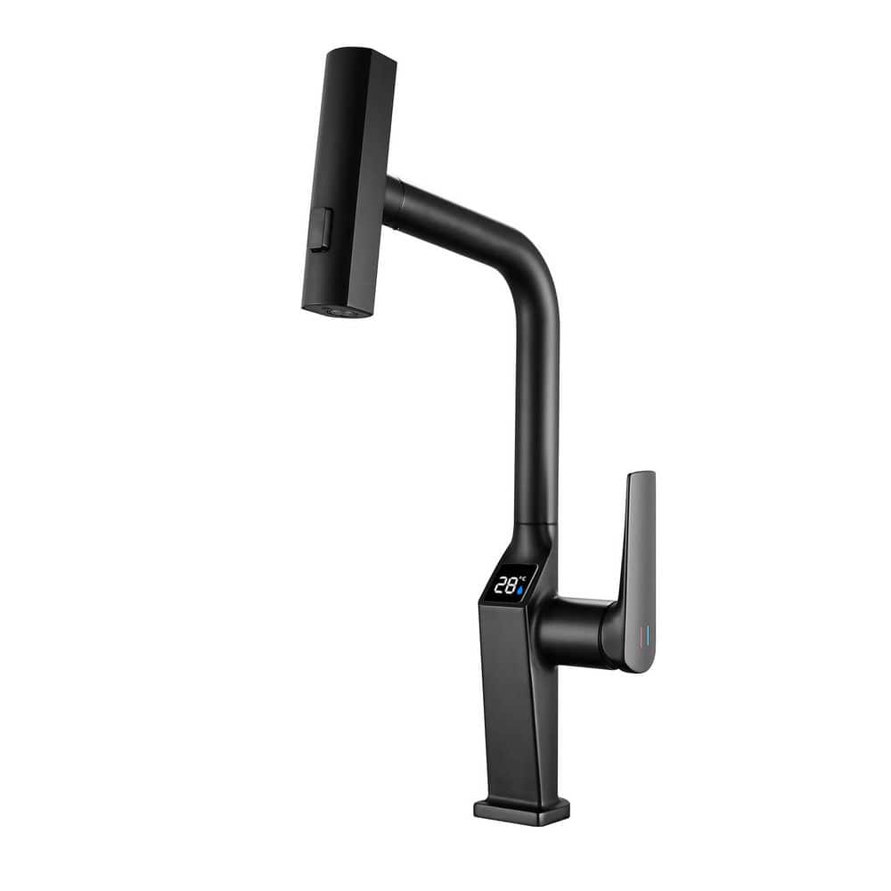 17.72 in. Single-Handle Kitchen Faucet with LED Display and 360° Swivel Spout in Matte Black price history on PriceWatchPro
