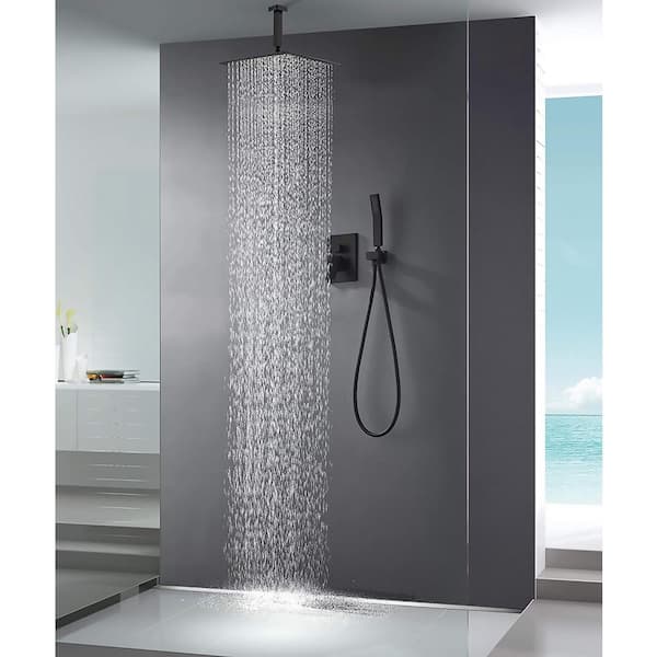 2-Handle 2-Spray High Pressure Ceiling Rain and Shower Faucet with 12 in. Shower Head in Matte Black (Valve Included)