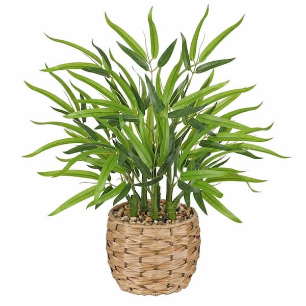 14 in plant saucer Down Under 14 in. D Plastic Plant Saucer Black main image 1