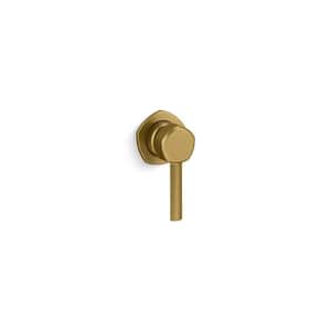 Occasion Wall-Mount Bathroom Sink Faucet Handle, Vibrant Brushed Moderne Brass