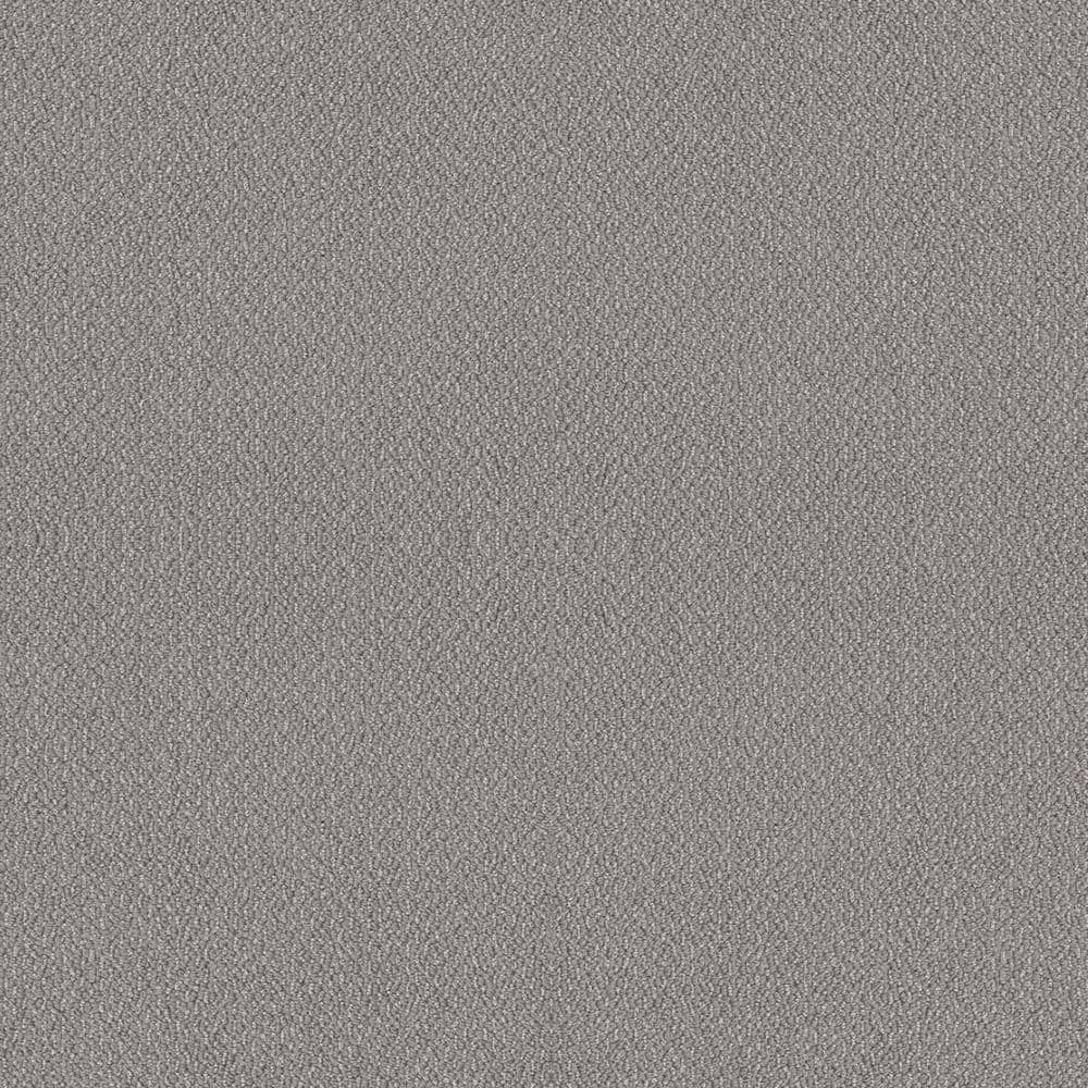 8 in x 8 in.  Loop Carpet Sample - Tower Road - Color Drizzle price history on PriceWatchPro