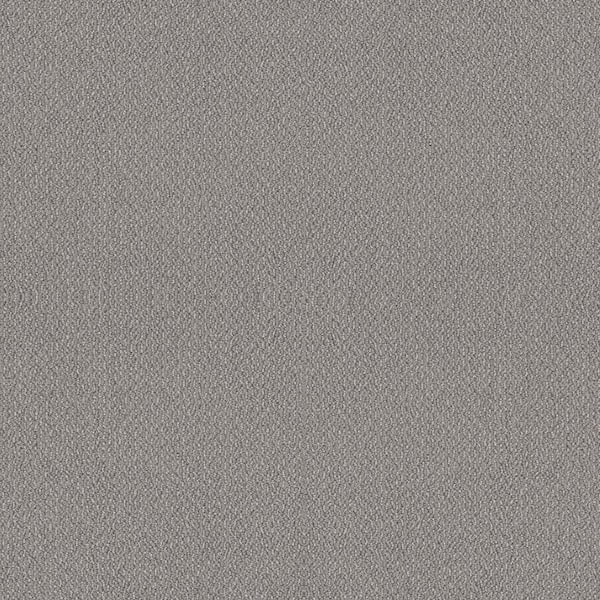 Home Decorators Collection 8 in x 8 in.  Loop Carpet Sample - Tower Road - Color Drizzle