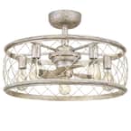 Dury 22 in. Century Silver Leaf Fan with Light