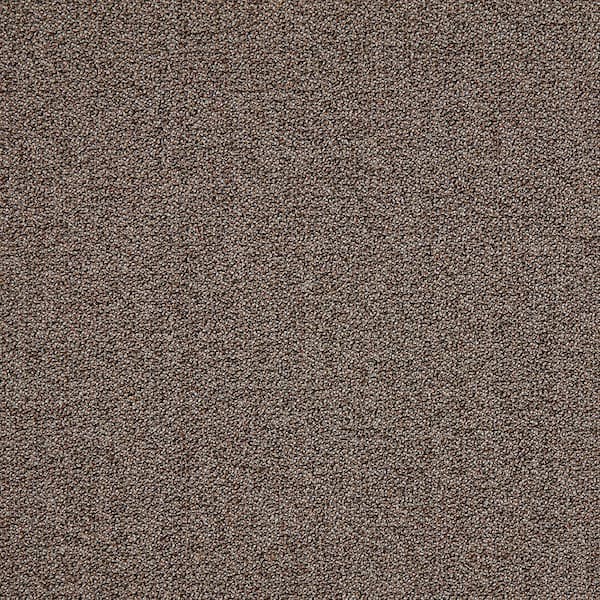 TrafficMaster Grand Forks  - Touch Sense - Brown 23 oz. Polyester Pattern Installed Carpet