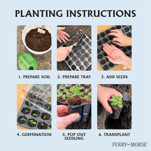 Jiffy Seed Starting Plastic Plant Tray, 11 in. x 22 in. – Ferry-Morse