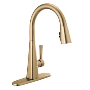 Lenta Single-Handle Pull-Down Sprayer Kitchen Faucet with ShieldSpray Technology in Champagne Bronze
