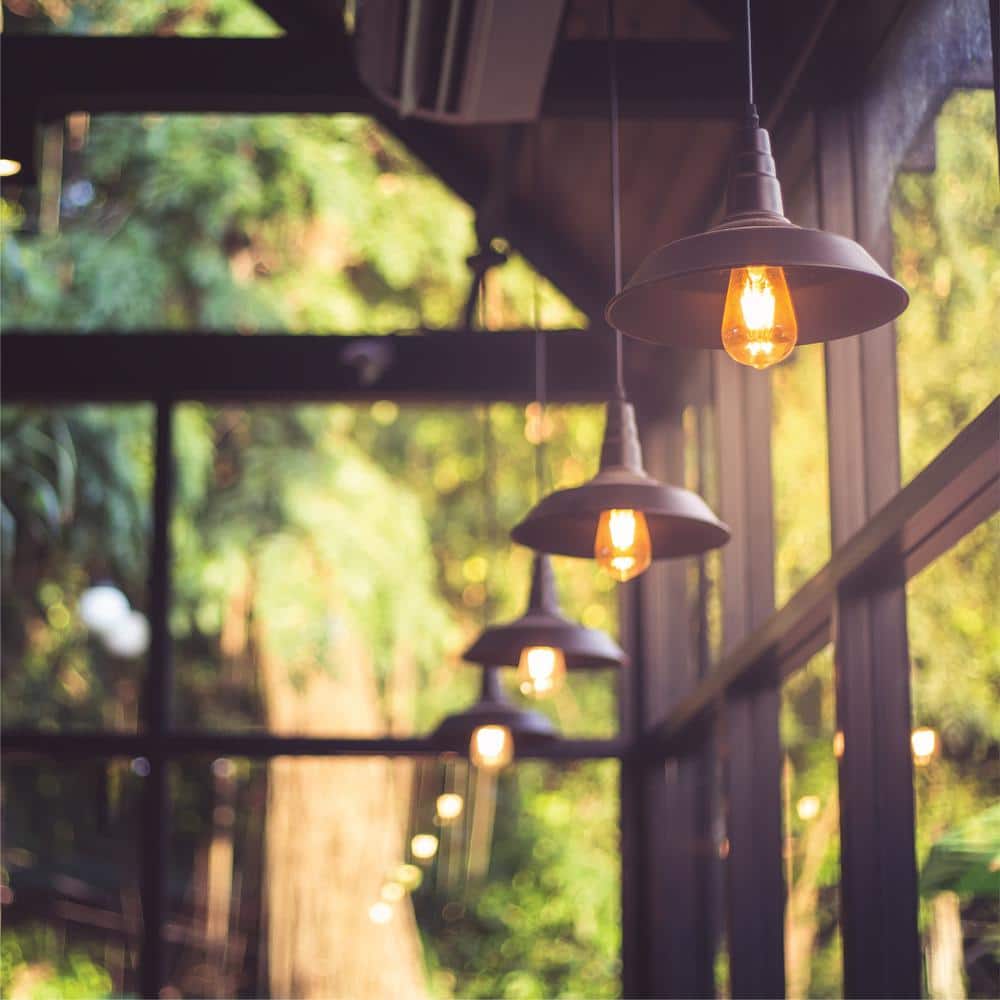 60-Watt Equivalent ST64 Vintage Style Edison Bulbs, Incandescent Dimmable E26 Filament Bulb, 2700K (6-Pack)