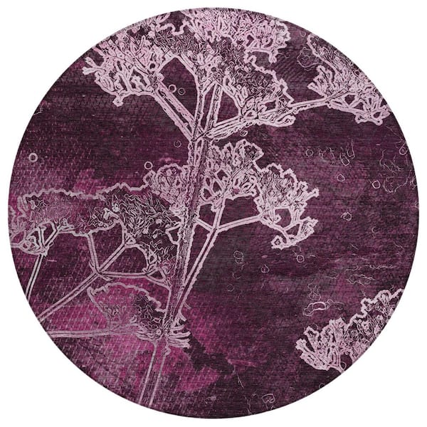 Chantille Machine Washable Indoor/Outdoor Abstract ACN2239 Eggplant 8 ft. x 8 ft. Area Rug