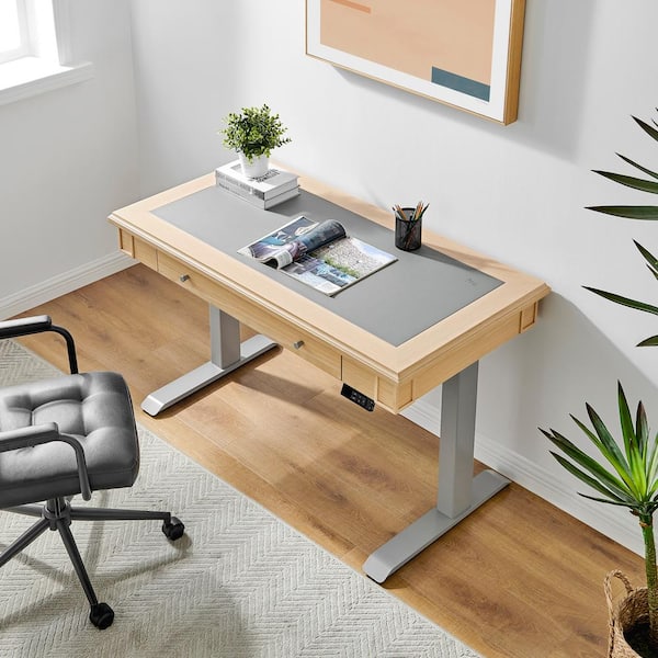 Otto Sit Stand Desk with Modesty Panel - Dania Furniture