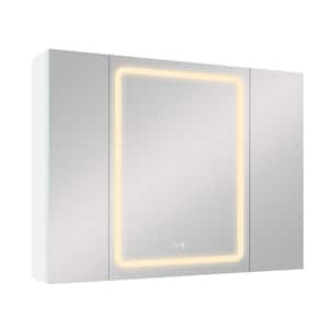 40 in. W x 30 in. H Rectangular Aluminum Medicine Cabinet with Mirror, LED Dimmable Light and 3-Door Cabinets