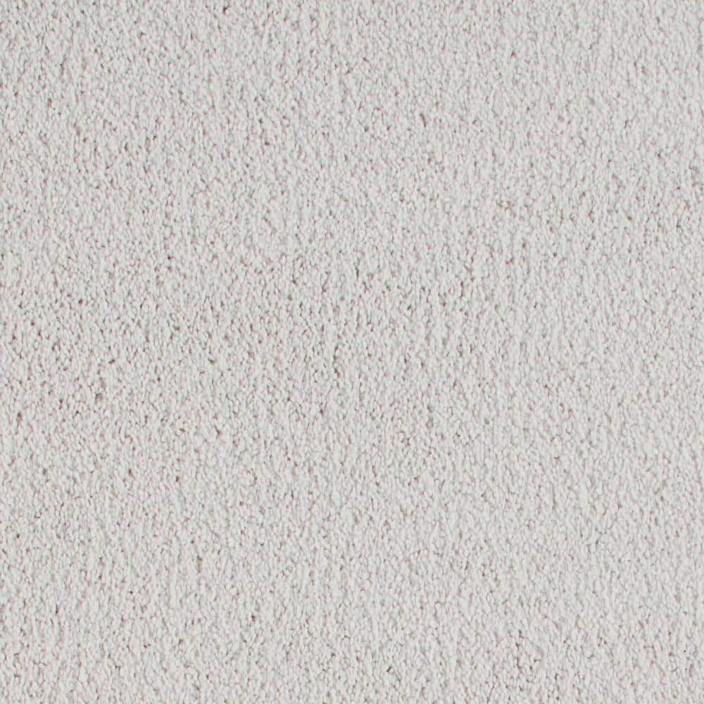 8 in. x 8 in. Texture Carpet Sample - Northern Hills I -Color Snow Cap price history on PriceWatchPro