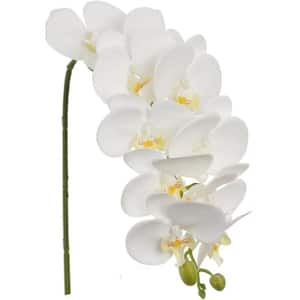 31 in. White Indoor/Outdoor Artificial Phalaenopsis Orchid Flower - 3-Pack, Floral Home by Artificial Flowers