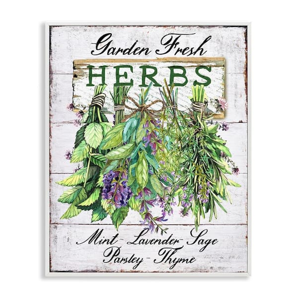 Stupell Industries Garden Fresh Herbs by Creatif Belle White Framed Food Giclee Art Print 30 in. x 24 in.