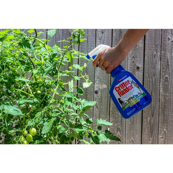 Havahart Critter Ridder II Outdoor Natural Animal Repellent, 44 OFF
