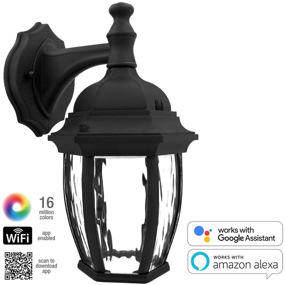 Black Matte Smart WiFi Outdoor Wall Sconce with Clear Glass